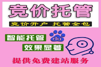 某企业通过百度广告实现品牌提升的历程